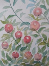 akvarel æbler