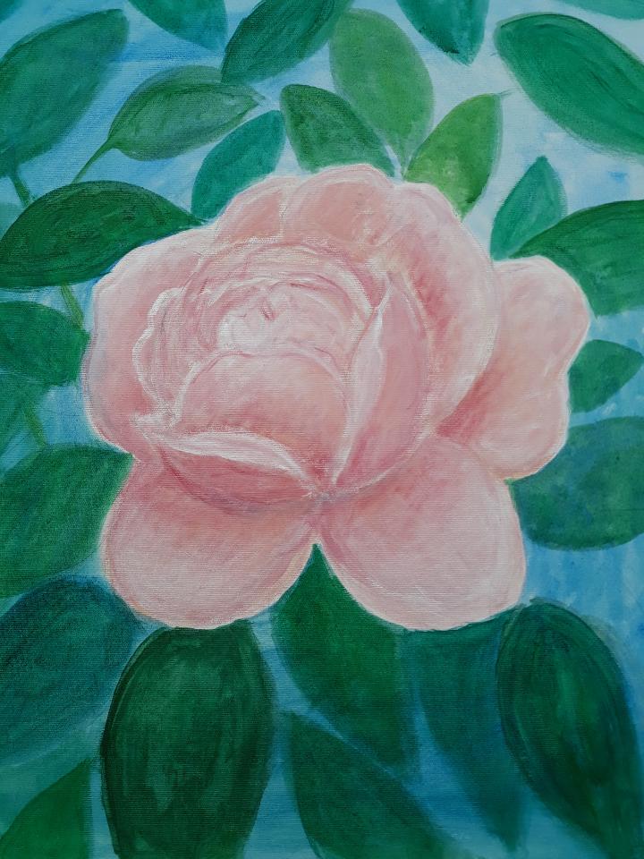 Rose akvarel