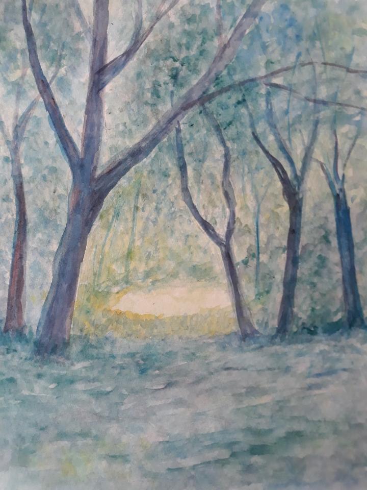 Lysning i skoven akvarel