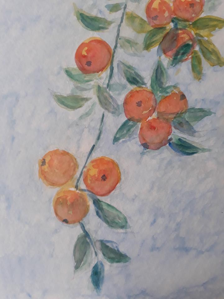 Appelsiner på gren, akrylmaleri