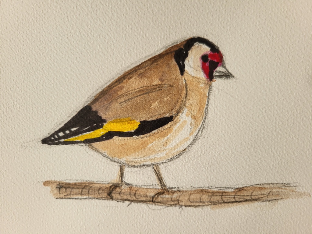 Stillits, blyant og akvarel