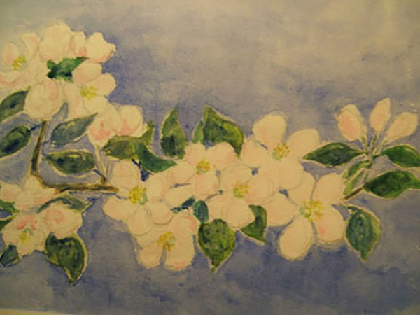 Æblegren, akvarel,1988
