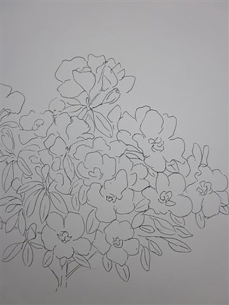 Rhododendron, tush, ca. 2004