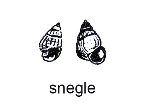 Snegle