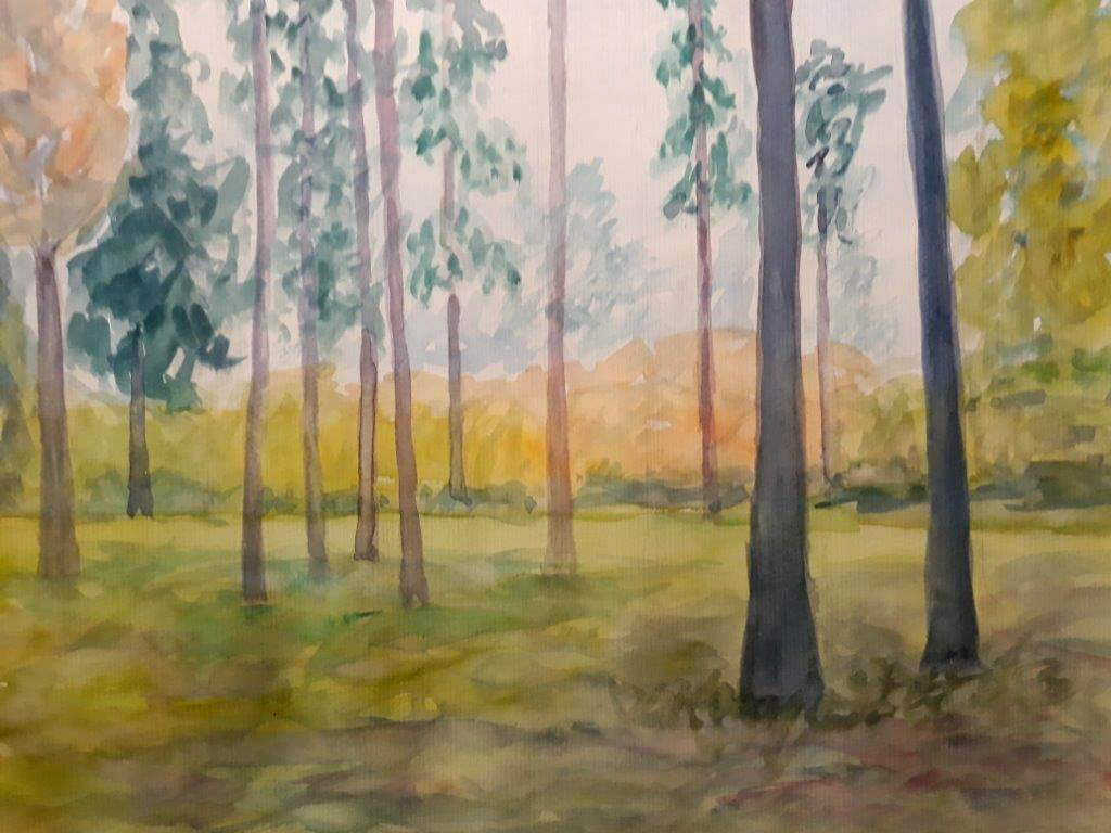 Jyderup Skov, efterår, akvarel, 2020