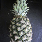 Ananas bygget op fibonaccitallene