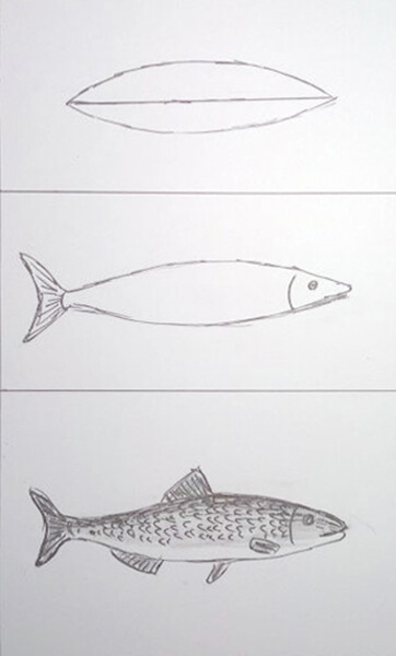 Sådan tegner man en fisk. Ørred