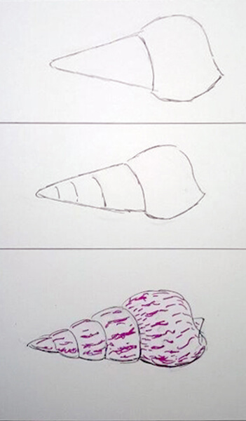 Sådan tegner man en konkylie. Sneglehus