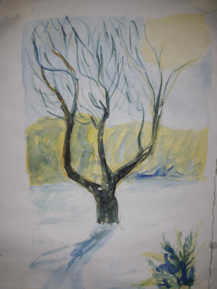 nøgent træ akvarel